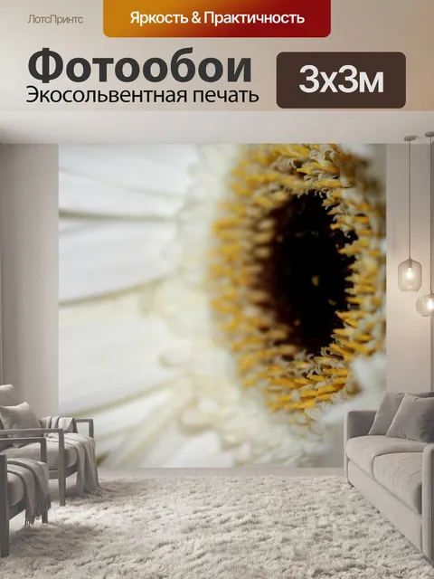 Фотообои Цветок закрыть