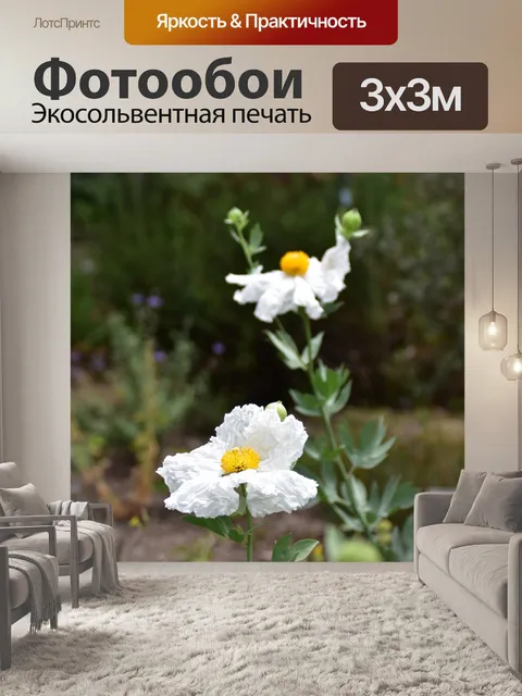 Фотообои матилия маки