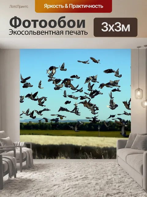 Фотообои Птицы