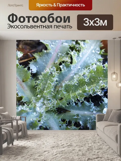 Фотообои Капли воды на сочные