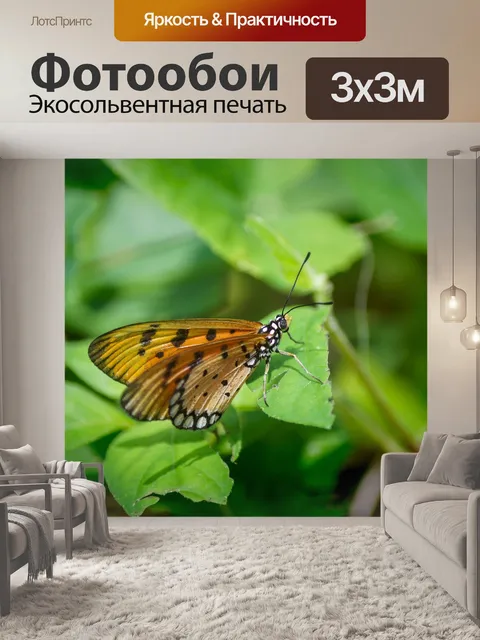 Фотообои Сингапурский остров кони