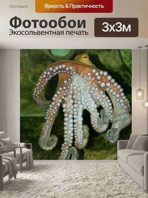 Фотообои Осьминог