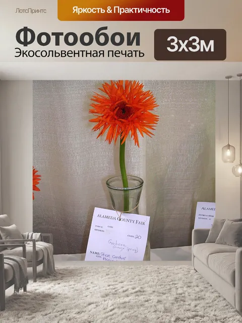 Фотообои Ярмарка Герберы