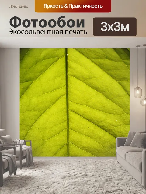 Фотообои Зеленый лист
