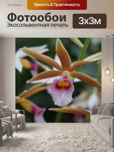 Фотообои Ботанический сад