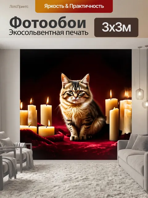 Фотообои кошка с длинными усами сидит на бархатном фоне