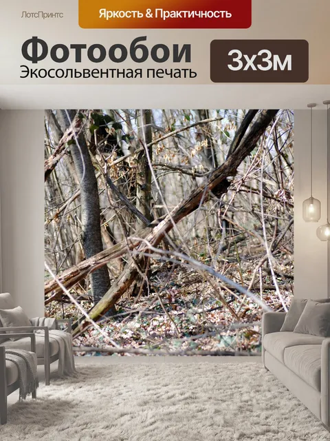 Фотообои Филиалы в лесу