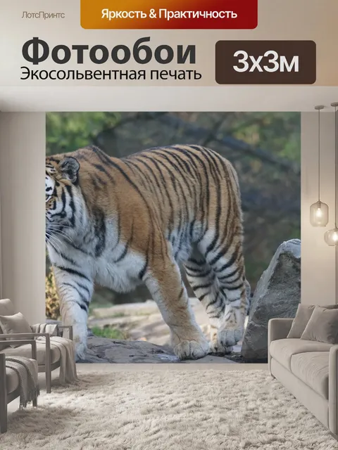 Фотообои Животные