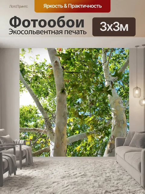 Фотообои клен