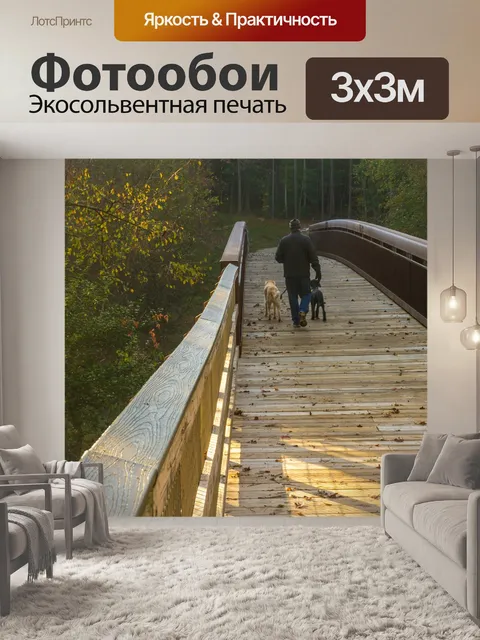 Фотообои Пешеходный мост