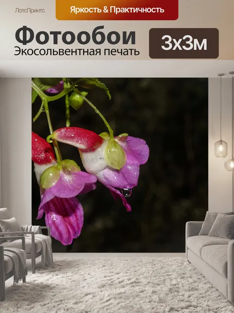 Фотообои Цветок попугая Чианг Дао, Чианг Май