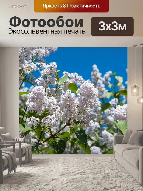 Фотообои Цветы