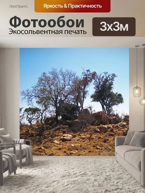 Фотообои скалистый участок с деревьями
