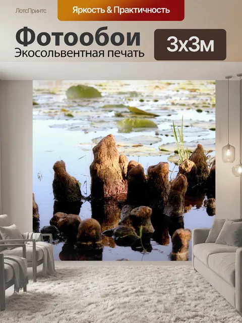 Фотообои Болото Roots