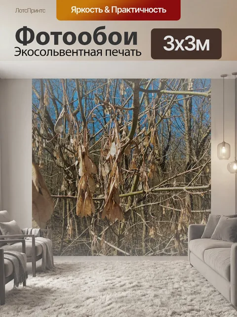 Фотообои Кленовые ключи