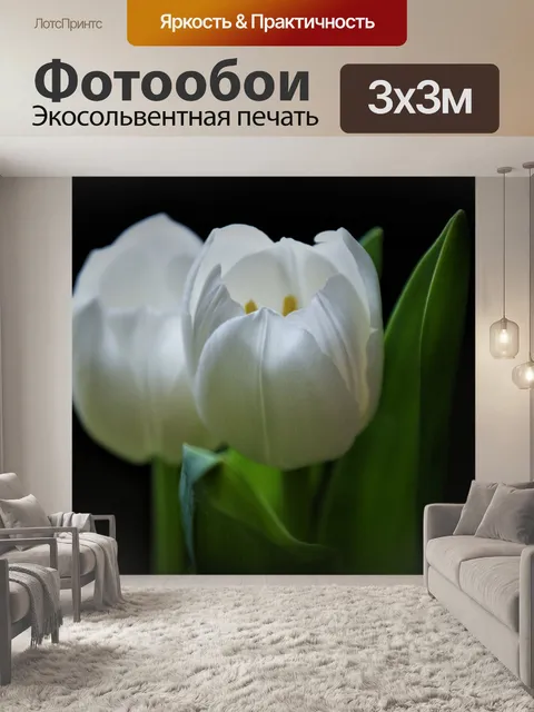 Фотообои Белые тюльпаны