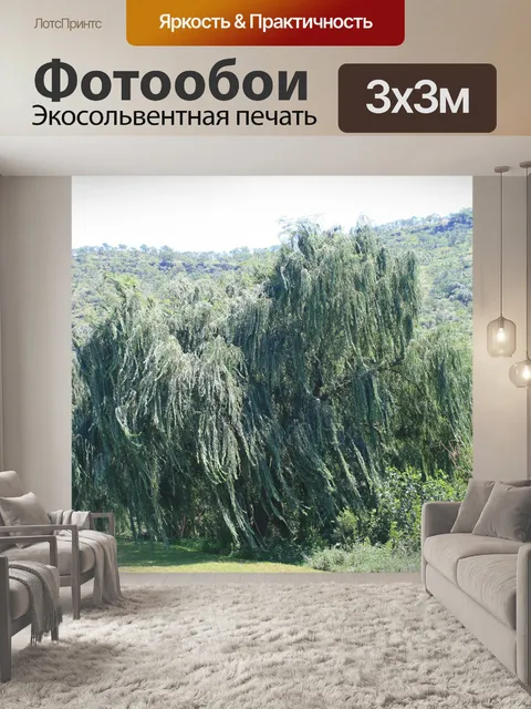 Фотообои ива на берегу реки