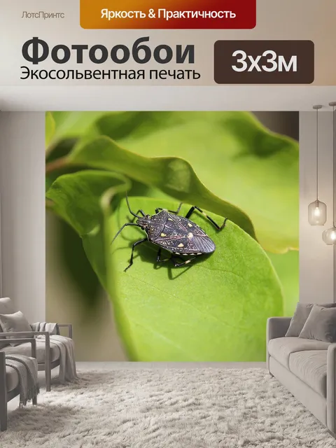 Фотообои Резинка дерево щит ошибка