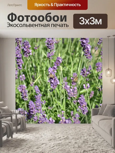 Фотообои Лаванда