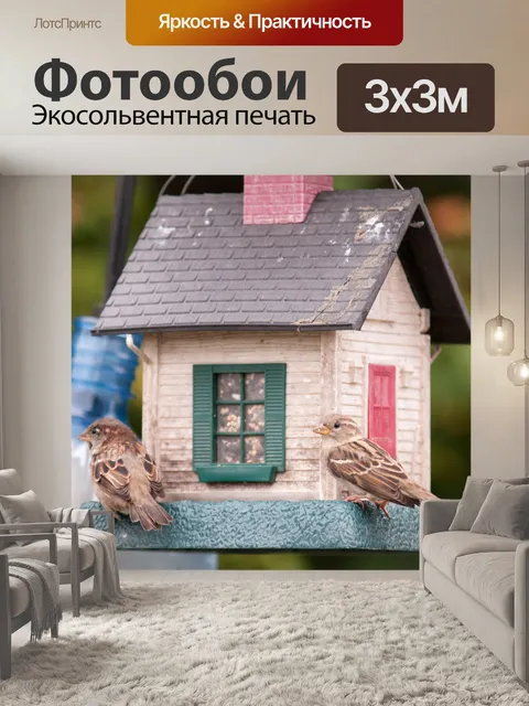 Фотообои птиц на Birdfeeder