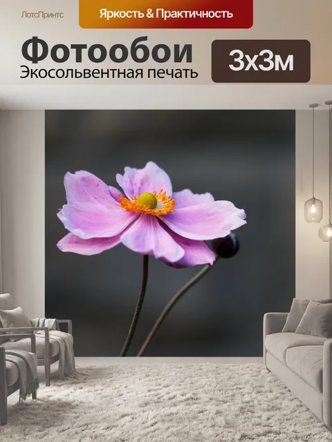 Фотообои Цветок крупным планом Фиолетовый