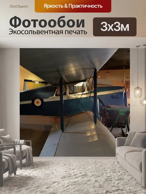 Фотообои шершень моли би-самолет