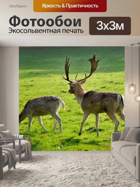 Фотообои Олень