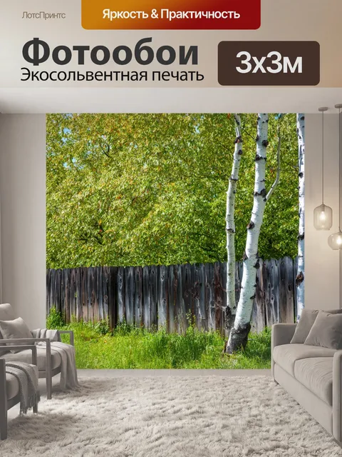 Фотообои березы на фоне старого деревянного забора