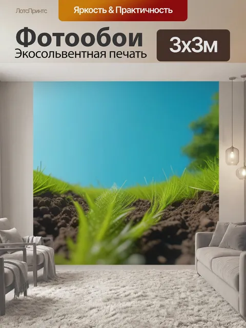 Фотообои пейзаж с земли
