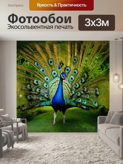 Фотообои хвостик павлина, словно волшебный шлейф, раскинулся на зеленом фоне тропического сада, где солнце…