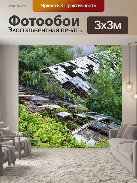 Фотообои Заброшенная теплица