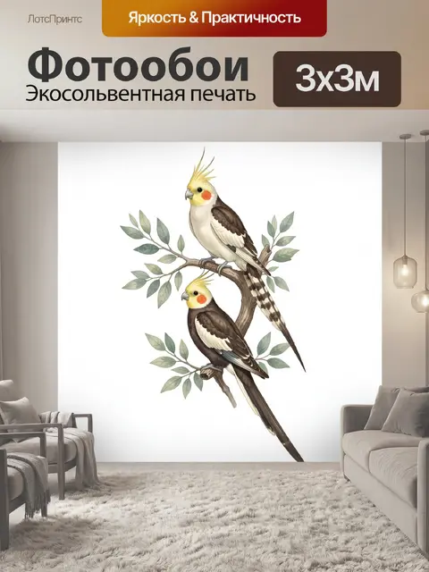 Фотообои Два какаду на ветке