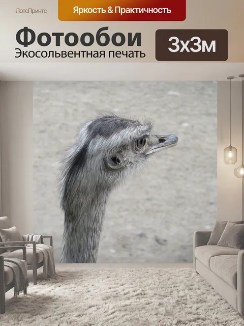 Фотообои Страус
