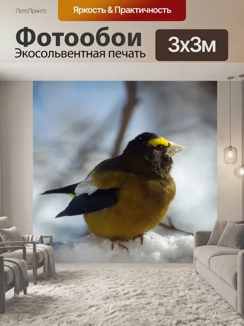 Фотообои Птица