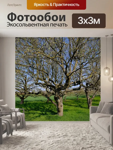 Фотообои Яблони