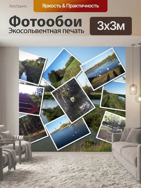 Фотообои Коллаж Природа Прогулка