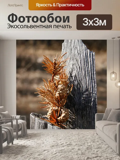 Фотообои Желудь пень