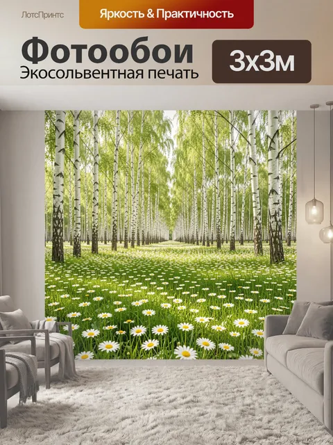 Фотообои Берёзовая роща с ромашками