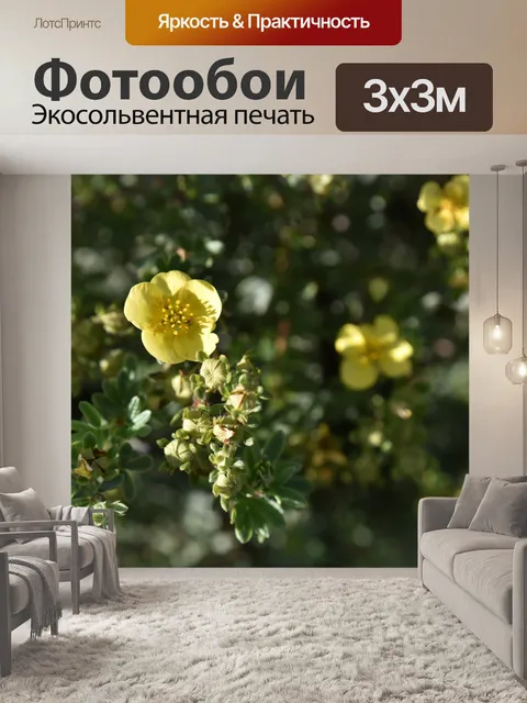 Фотообои Крошечный желтый полевой цветок