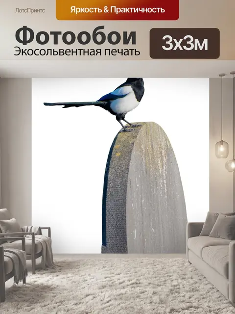 Фотообои Сорока, надгробие, птица