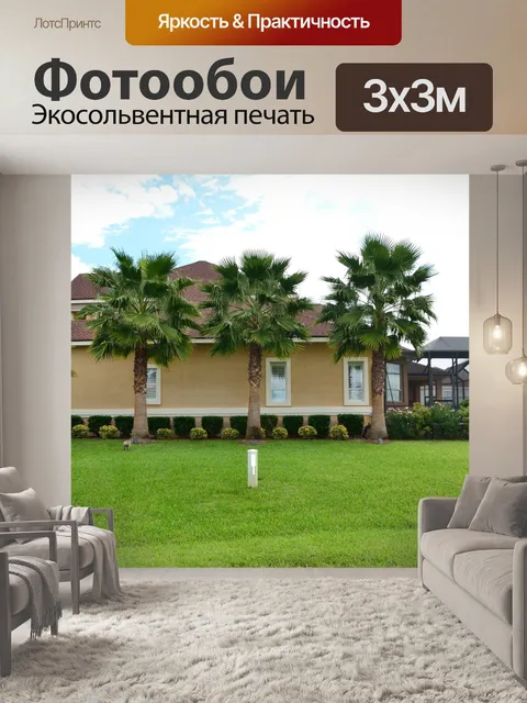 Фотообои Флорида Главная Продажа