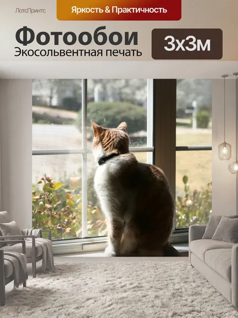 Фотообои Кошка