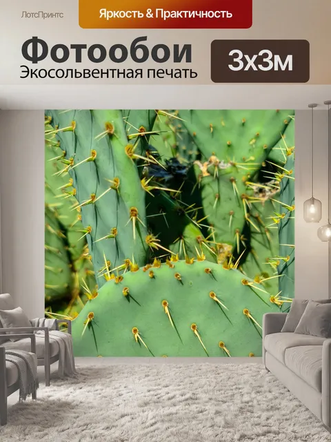 Фотообои Кактус опунции