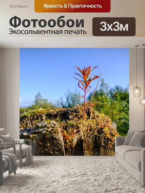 Фотообои Трава