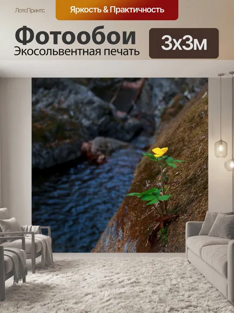 Фотообои Водоем