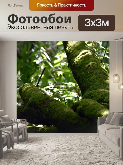Фотообои Мосс