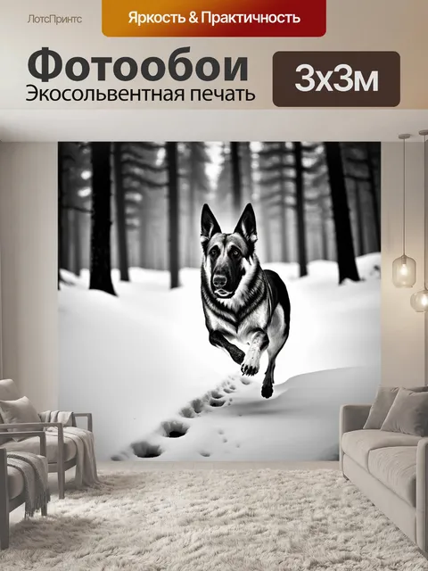 Фотообои полная сила и грация немецкой овчарки, бегущей сквозь снежный лес, оставляя следы на белом снегу