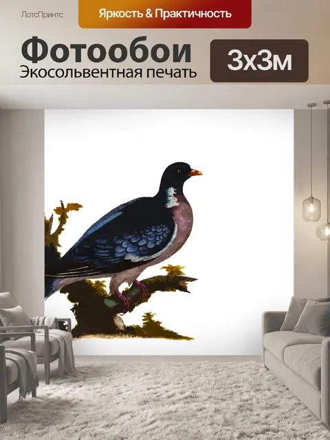Фотообои Голубь Акварельная живопись
