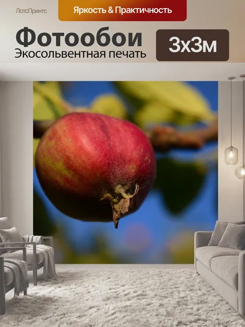 Фотообои Яблоко