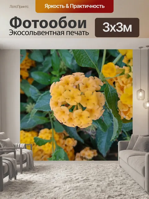 Фотообои Золотая лантана 2